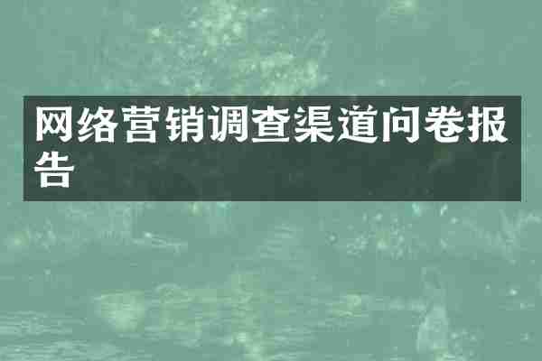 网络营销调查渠道问卷报告