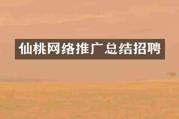 仙桃网络推广总结招聘