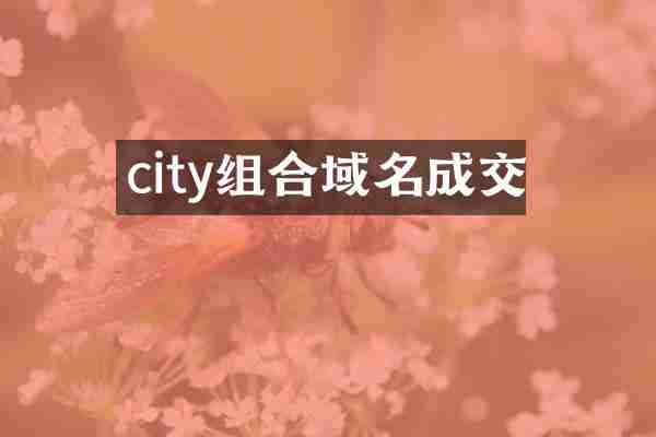 city组合域名成交