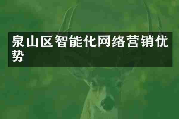 泉山区智能化网络营销优势