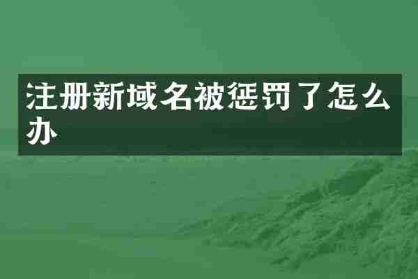 注册新域名被惩罚了怎么办