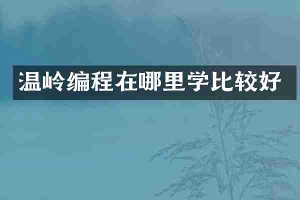 温岭编程在哪里学比较好