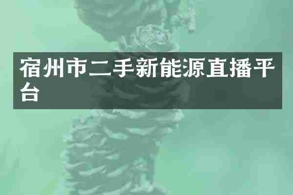 宿州市二手新能源直播平台