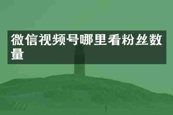 微信视频号哪里看粉丝数量