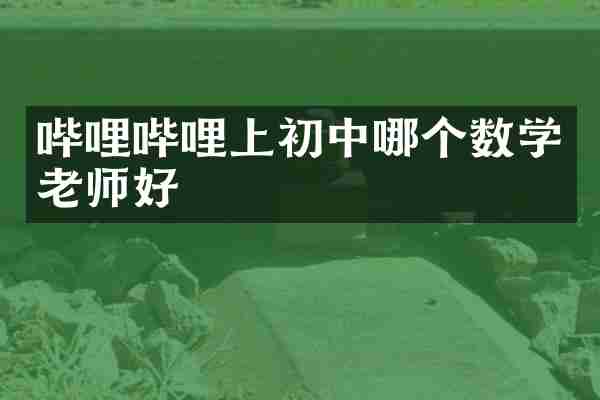 哔哩哔哩上初中哪个数学老师好