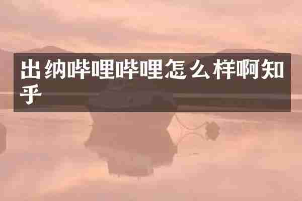 出纳哔哩哔哩怎么样啊知乎