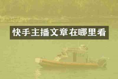 快手主播文章在哪里看