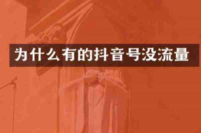 为什么有的抖音号没流量