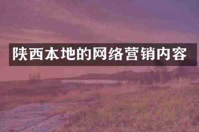 陕西本地的网络营销内容