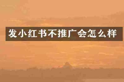 发小红书不推广会怎么样