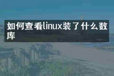 如何查看linux装了什么数据库