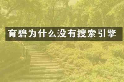 育碧为什么没有搜索引擎