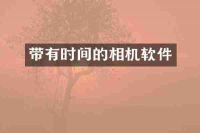 带有时间的相机软件