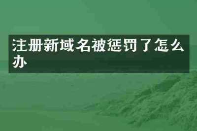 注册新域名被惩罚了怎么办