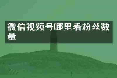 微信视频号哪里看粉丝数量