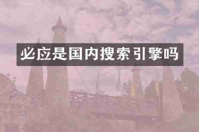 必应是国内搜索引擎吗