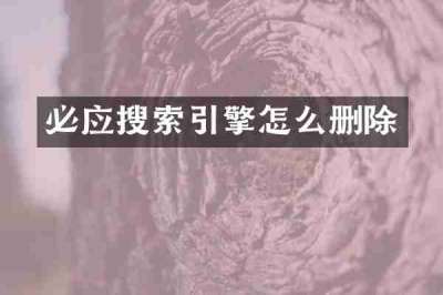 必应搜索引擎怎么删除
