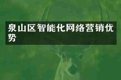 泉山区智能化网络营销优势