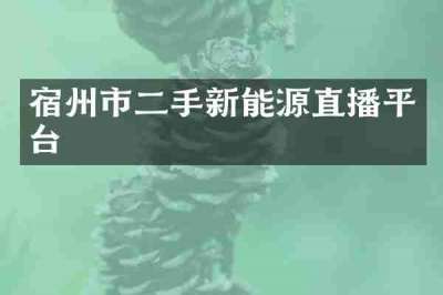 宿州市二手新能源直播平台