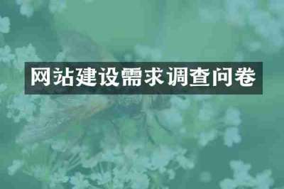 网站建设需求调查问卷
