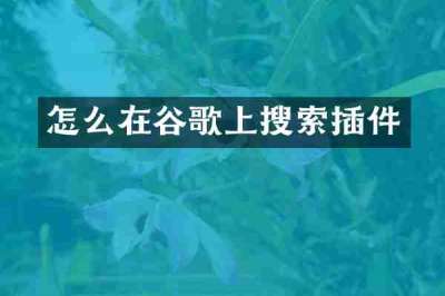 怎么在谷歌上搜索插件