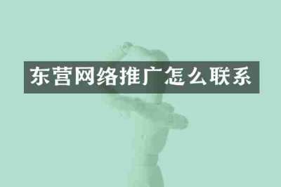 东营网络推广怎么联系