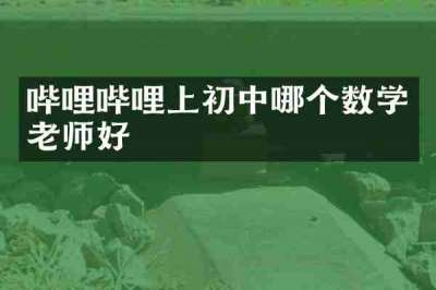 哔哩哔哩上初中哪个数学老师好