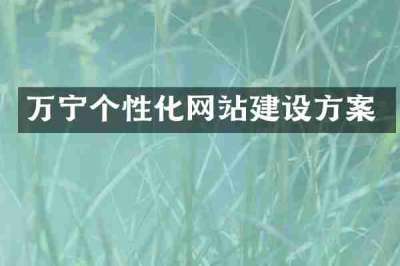 万宁个性化网站建设方案