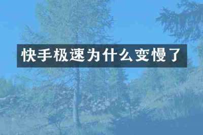 快手极速为什么变慢了