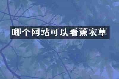 哪个网站可以看薰衣草