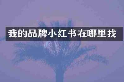 我的品牌小红书在哪里找