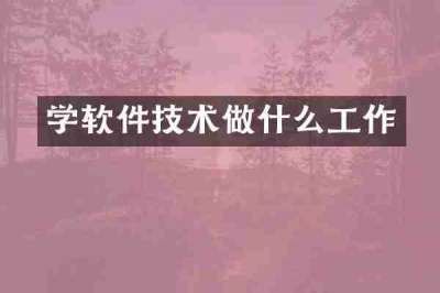 学软件技术做什么工作