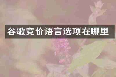 谷歌竞价语言选项在哪里