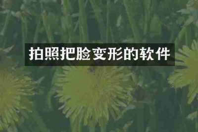 拍照把脸变形的软件