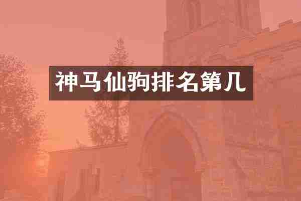神马仙驹排名第几