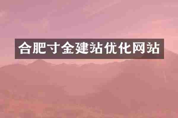 合肥寸金建站优化网站
