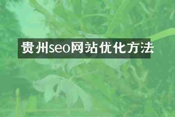 贵州seo网站优化方法
