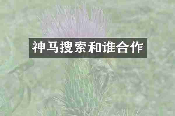 神马搜索和谁合作