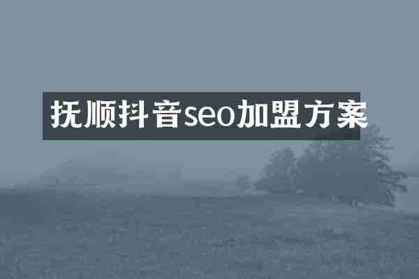 抚顺抖音seo加盟方案