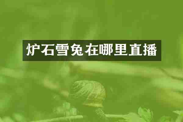 炉石雪兔在哪里直播