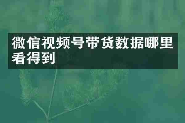 微信视频号带货数据哪里看得到