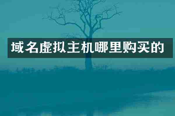 域名虚拟主机哪里购买的