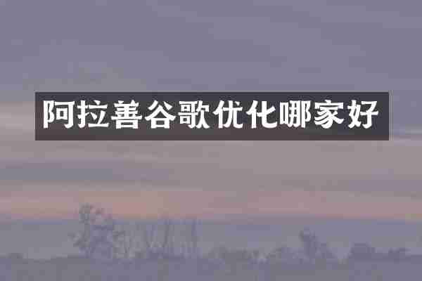 阿拉善谷歌优化哪家好