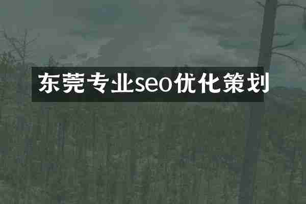 东莞专业seo优化策划