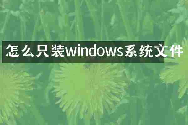 怎么只装windows系统文件