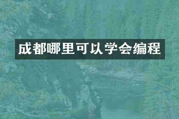 成都哪里可以学会编程