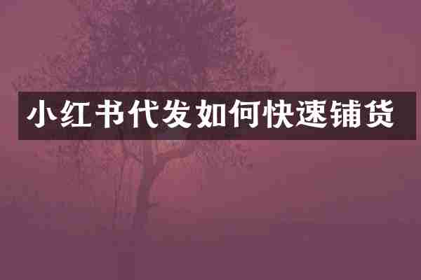 小红书代发如何快速铺货