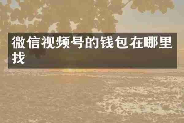 微信视频号的钱包在哪里找