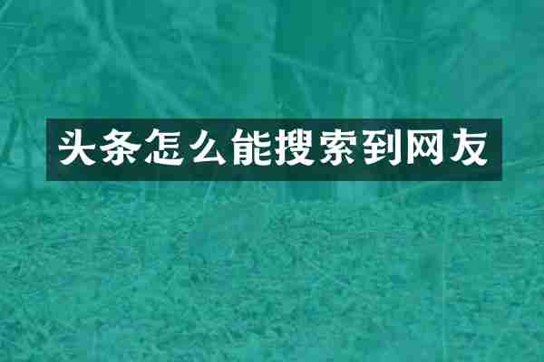 头条怎么能搜索到网友