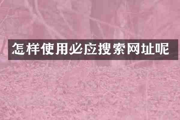 怎样使用必应搜索网址呢